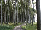 Fewo Uferschwalbe