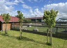 Ferienhaus Assing am Deich