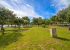 Camp Peskera Mobilehome Premium Pet Friendly