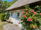 Rosen Cottage