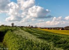 Ferienhaus TierbachLodge