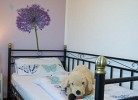 Inselblume 22 - Ferienhaus mit Garten und Hund in Landkirchen