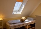 Inselblume 09 - Ferienwohnung an der Reiterkoppel auf Fehmarn