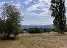 Ferienhaus Koppelblick - Mein SWH