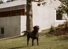 Ferienhaus TierbachLodge