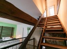 Friesenwind - Hochwertige Ferienwohnung mit Gartenoase