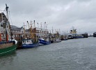 Ferienwohnung Nordsee, Swatten Diek 35, Sahlenburg, Haustiere erlaubt