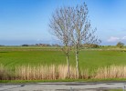 Ferienwohnung Tide | Exklusiver Urlaub in Hilgenriedersiel