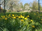 Ferienwohnung 'Beim Hubert'