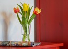 Ferienhaus 'Luv'