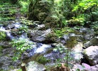 Fereinwohnung Tannenblick mit 2 Balkonen und Hallenbad - Mein Schwarzwaldhäusle