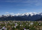 Ferienwohnung Alpenblck