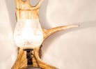 5Sterne Ferienwohnung Edelweiß