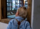 Ferienhaus Guck in den Stall