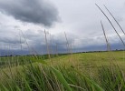 Ferienwohnung Zur Pusteblume