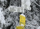 Schwarzwald Appartment Herrischried mit Balkon
