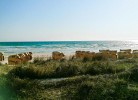 Seetempel App 29 -  Scharbeutz