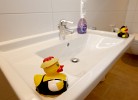 Ferienwohnung Schönwaldblick - 2 große Balkone mit traumhafter Sicht - barrierefrei - Mein SWH