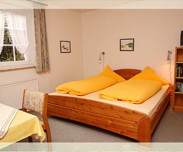 Heckenrose7- Keller rechts