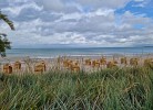 Nautica App A6, Strandallee 65 Haffkrug