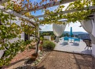 Villa Olive Tree