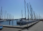 Lotsenhus