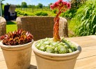 Ferienhaus 'Ausblick' in Wackerballig