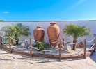 Casa Vigia