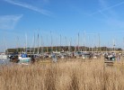 Zum Reetdachhaus am Haff  Möwennest