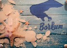 FEWO Borkum
