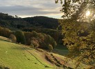 Schwarzwald Appartment Herrischried mit Balkon