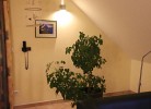 Apartment Kap Arkona