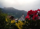 Ferienwohnung Alpenblck