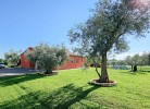 Casa Gojtan
