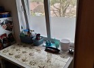 Ferienwohnung Burgfelde