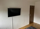 Kiebitznest