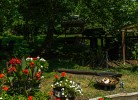 Schwarzwaldhaus Wolftal – Historisches Forsthaus