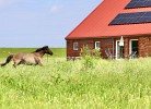 NEU! Sömmerland