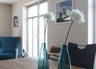 Ferienhaus Strandrose