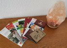 Ferienglück Gornsdorf  moderne FeWo