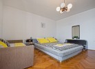 Apartment Miletic 5