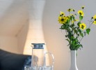 Ferienwohnung 'Hermann' in Kappeln
