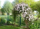 Fewo Im Wiesengrund