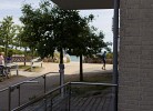Inselblume 49 - Ferienwohnung im Erdgeschoss der Strandburg