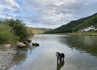 Moselbackes