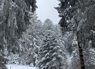 Schwarzwald Appartment Herrischried mit Balkon