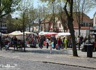 46 Ferienwohnung Burg