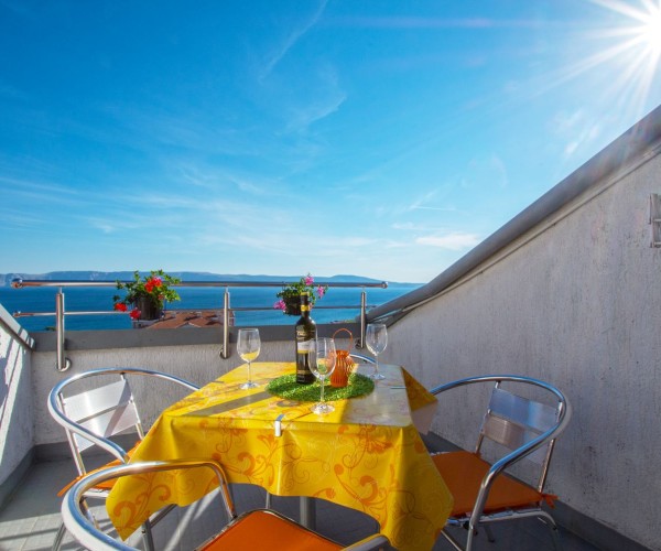 Apartment Miletic 4