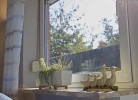 Inselblume 39 - Komfortable Ferienwohnung mit Waschmaschine in Burg