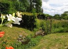 Ferienhaus Flechtdorfer Waldblick